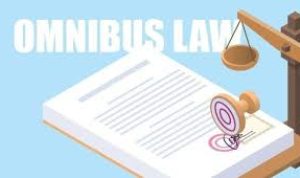 Diminta Sosialisasikan Omnibus Law Ciptaker
