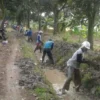 Petani Gotong Royong Bersihkan Irigasi
