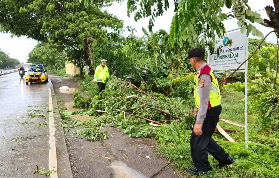Polisi Patroli Pohon Tumbang