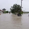 Banjir Kabupaten Cirebon, 21.199 Jiwa Terdampak, Ribuan Rumah Terendam