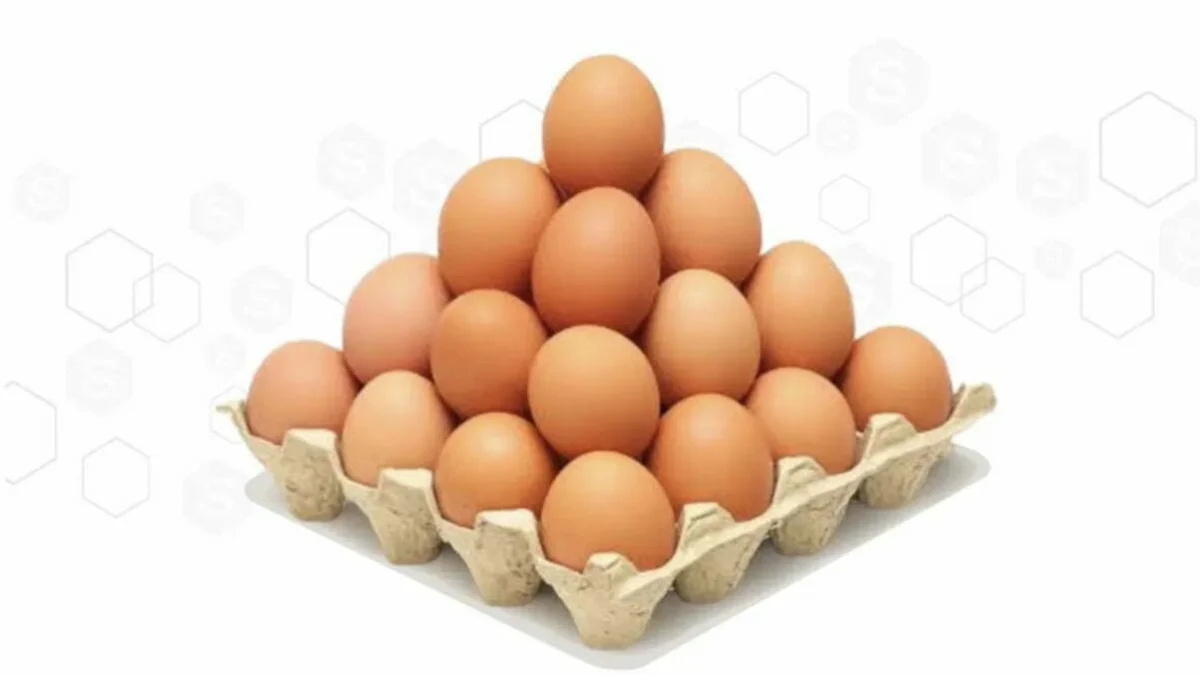 Benarkah, Konsumsi Telur untuk Turunkan Resiko Penyakit Jantung?