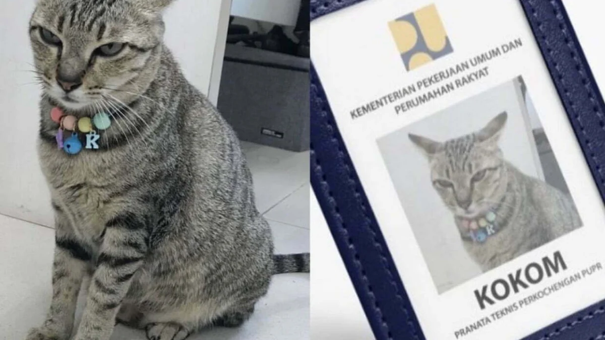 Lucunya Si Kokom, Kucing yang Baru Saja Diangkat Pegawai Kementrian PUPR