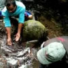 Warga Desa Payung, Kecamatan Rajagaluh, dihebohkan dengan penemuan sumber mata air hangat di kaki bawah Gunung Ciremai. Dinas Kesehatan (Dinkes) Majalengka telah melakukan uji laboratorium terhadap sumber air tersebut mengandung zat mangan yang tidak boleh dikonsumsi