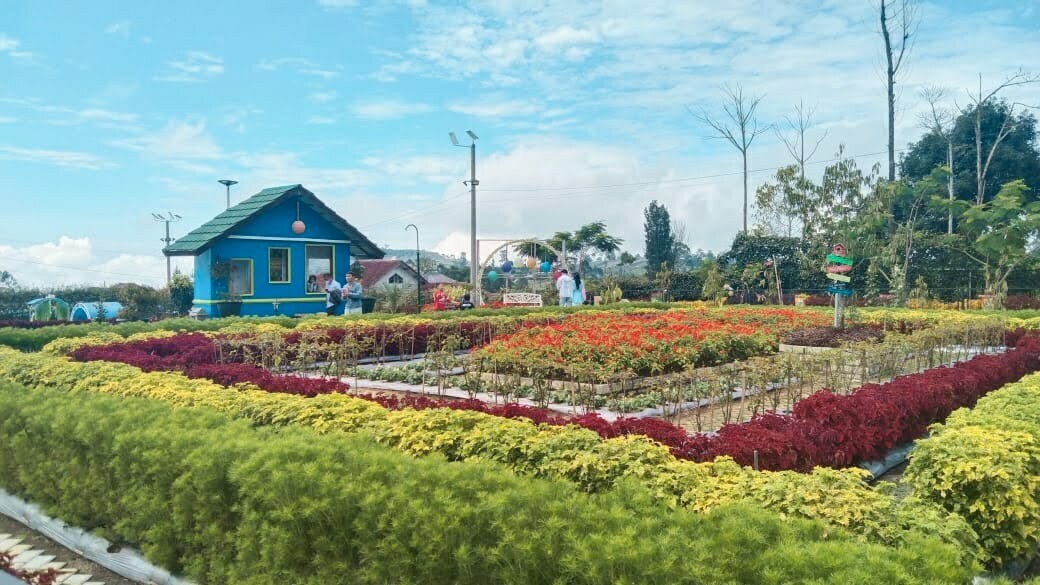 Taman Bunga Bee Park di wilayah Desa Argalingga Kecamatan Argapura