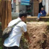 Pergerakan tanah kembali terjadi di Desa Ujungberung Kecamatan Sindangwangi, tepatnya di Blok Desa Lama