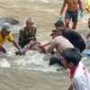 Hilang Dua Hari, Rusiti Ditemukan di Sungai Cisanggarung, Kondisinya Begini