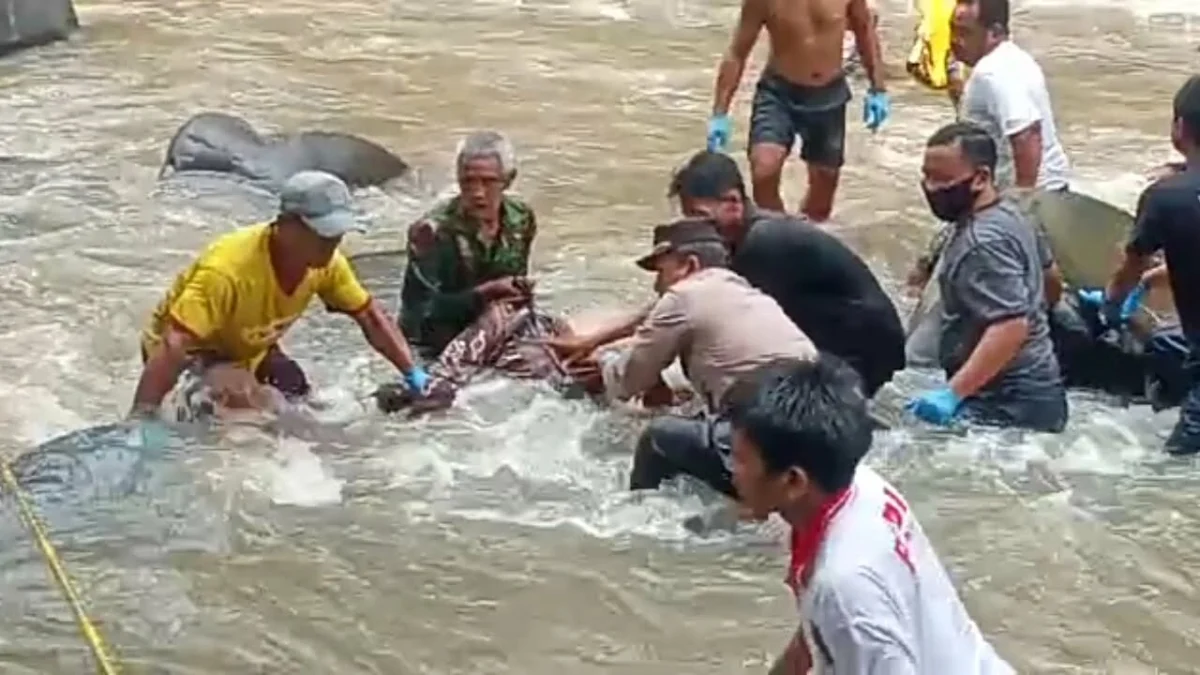 Hilang Dua Hari, Rusiti Ditemukan di Sungai Cisanggarung, Kondisinya Begini