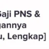 Ilustrasi tunjangan PNS, PPPK, TNI, Polri, dan pensiunan.