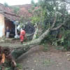 Angin Kencang Terjang Sejumlah Desa di Kuningan Jawa Barat, 10 Rumah Rusak