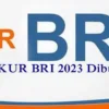 KUR-BRI-2023