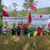 M Nurdin: MSP Solusi Ketahanan Pangan Masyarakat, 65 Hari Sudah Dipanen