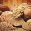 roti dapat dibuat dengan memanfaatkan mikroba