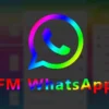 download aplikasi fm whatsapp