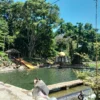 Obyek Wisata Situ Janawi Payung Majalengka