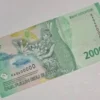 Uang Kertas