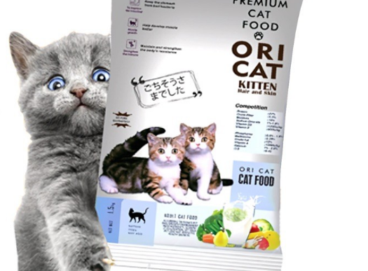 Rekomendasi Makanan Kucing Untuk Kitten