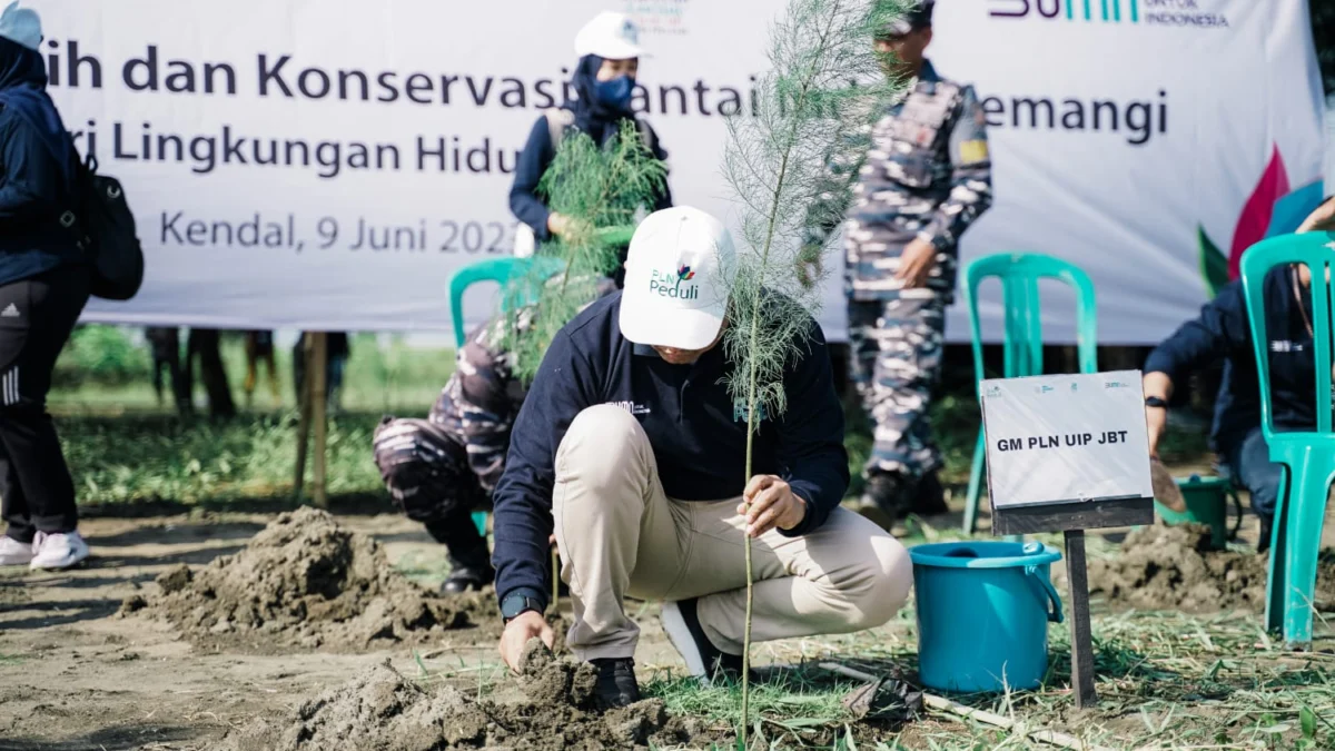 Peringati Hari Lingkungan Hidup 2023, PLN UIP JBT Salurkan bantuan 10.000 Pohon ke Pantai Indah Kemangi Kendal
