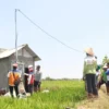 Pertanian Modern Berbasis Listrik Kian Berkembang, Program Electrifying Agriculture PLN Tumbuh 22,28 Persen