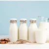 Campuran Susu Dancow dan Yogurt