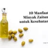 beberapa kandungan gizi dari minyak zaitun dan 10 manfaat minyak zaitun untuk kesehatan tubuh dan kulit putih berseri alami
