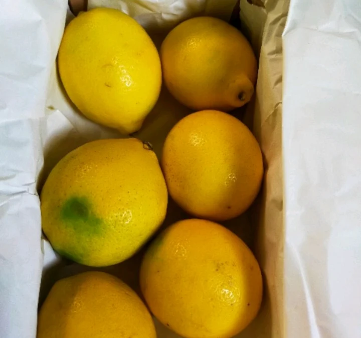 Manfaat lemon
