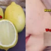 masker lemon untuk kulit sensitif