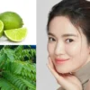 Tips Wajah Cerah ala Artis Korea Pakai Skincare Alami Daun Belimbing Wuluh dan Jeruk Nipis. 9 Manfaatnya Ada Disini!