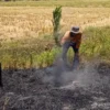 KAI Daop 3 Cirebon Himbau Masyarakat Tidak Membakar Sampah di Sekitar Jalur Kereta Api