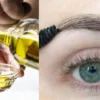 manfaat minyak zaitun untuk bulu mata