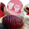 Mengenal KARMIN, Serangga yang Digunakan Sebagai Pewarna Merah Alami Dalam Berbagai makanan dan kosmetik