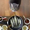 Cara Buat Makanan Kucing Sendiri, Khas Rumahan