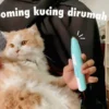 grooming kucing