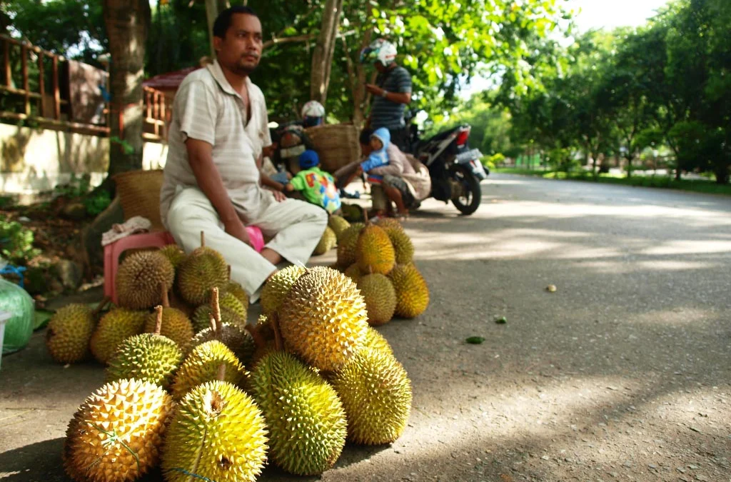 cara memilih durian yang bagus