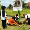 Anggota KPPS menanam pohon