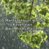 5 Manfaat Mendengarkan Suara Hujan Untuk Kesehatan, Bikin Rileks Pikiran