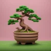 cara menanam bonsai yang bagus
