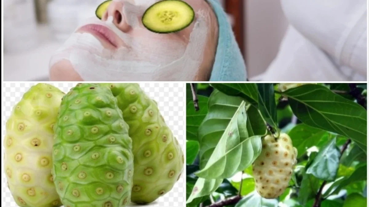 Cara membuat masker buah mengkudu