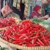 Harga cabai mulai turun di pasar tradisional di Kabupaten Cirebon