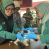 Dinas Ketahanan Pangan Pertanian Perikanan (DKP3) menggelar kegiatan vaksinasi hewan, termasuk kucing dan anji