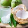 apakah air kelapa muda bisa mengobati batuk?
